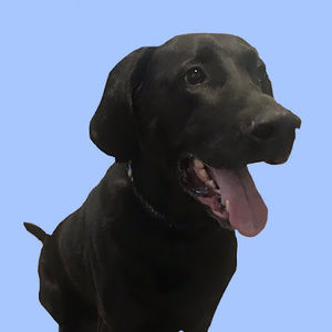 Meet your Posher, Robyn